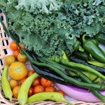 vegetables in a basket