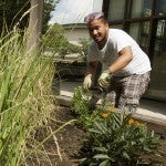 Christian Alfaro works in the Heritage Garden