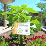 Heritage garden sign