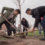 Tree Campus Ceremony