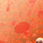 illustration of red blood cells