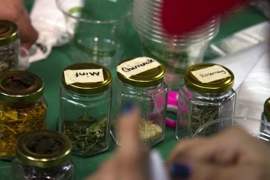 Table full of tea blends and seeds