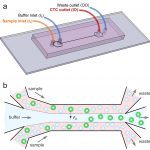 Cancer cell separation device