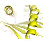 The unusual features (in red) of a MCH class I molecule’s groove play a role in how the molecule binds to viral peptides.