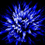 A bouquet-like arrangement of blue and white spikes emerge from a black background.