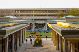 Students hanging in the quad with the Richard J. Daley Library in the background.