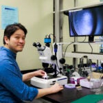 A man in a blue shirt sits a a microscope with a monitor showing a blue-tinted image of chemical structures.